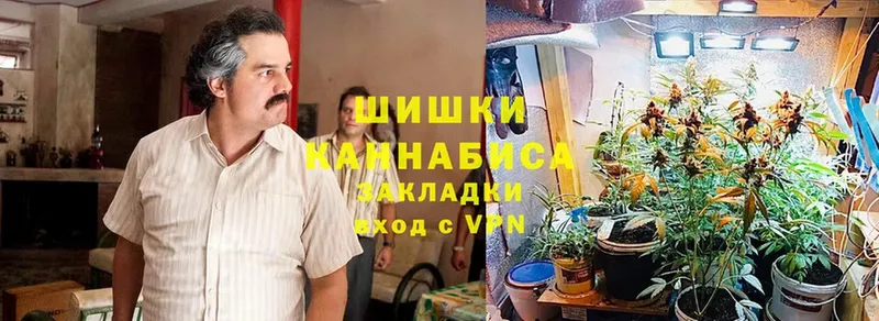 Шишки марихуана конопля  omg ссылки  Шахты 